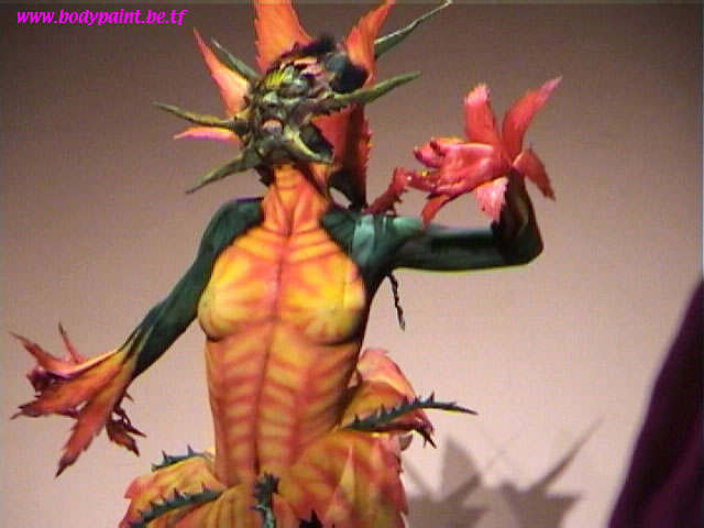 DSC02384