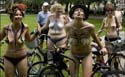 album_large_3737205